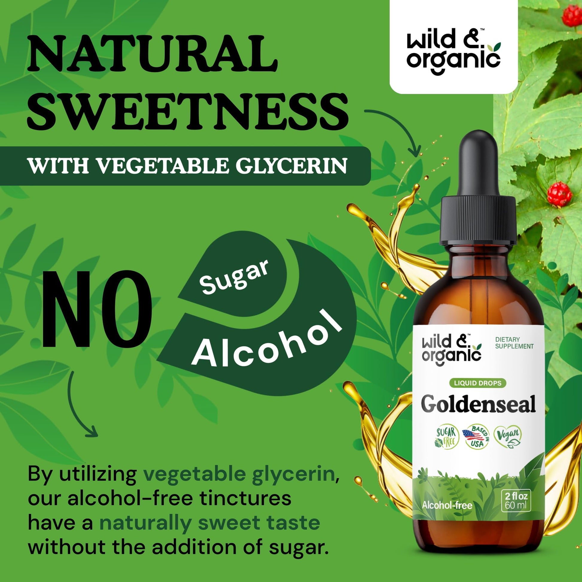 Wild & Organic Goldenseal Tincture - Lung & Digestive Support - Goldenseal Root Extract Liquid Drops - Vegan, Sugar & Alcohol-Free Herb Supplement - 4 fl oz - PrimeBioHealth - canada supplements