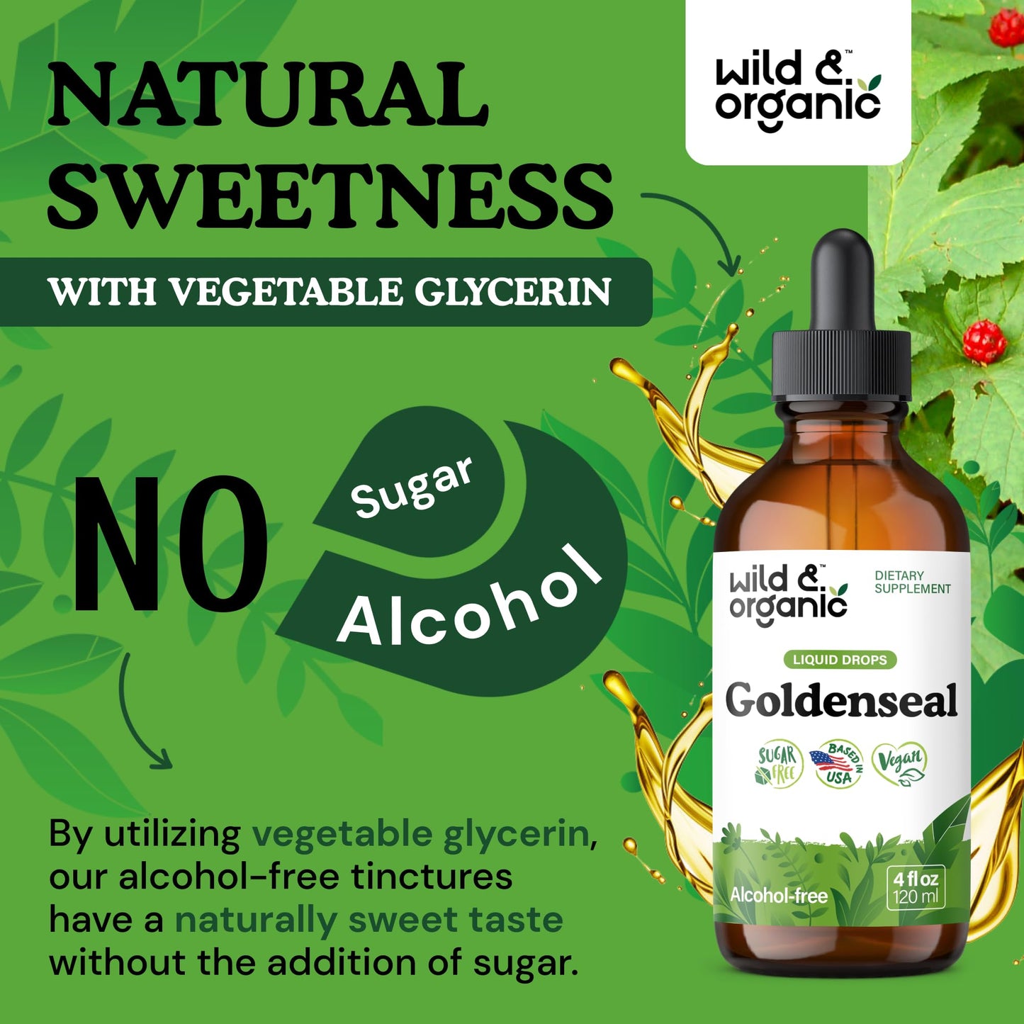 Wild & Organic Goldenseal Tincture - Lung & Digestive Support - Goldenseal Root Extract Liquid Drops - Vegan, Sugar & Alcohol-Free Herb Supplement - 4 fl oz - PrimeBioHealth - canada supplements