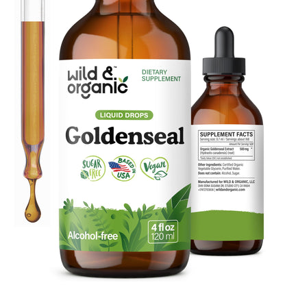 Wild & Organic Goldenseal Tincture - Lung & Digestive Support - Goldenseal Root Extract Liquid Drops - Vegan, Sugar & Alcohol-Free Herb Supplement - 4 fl oz - PrimeBioHealth - canada supplements