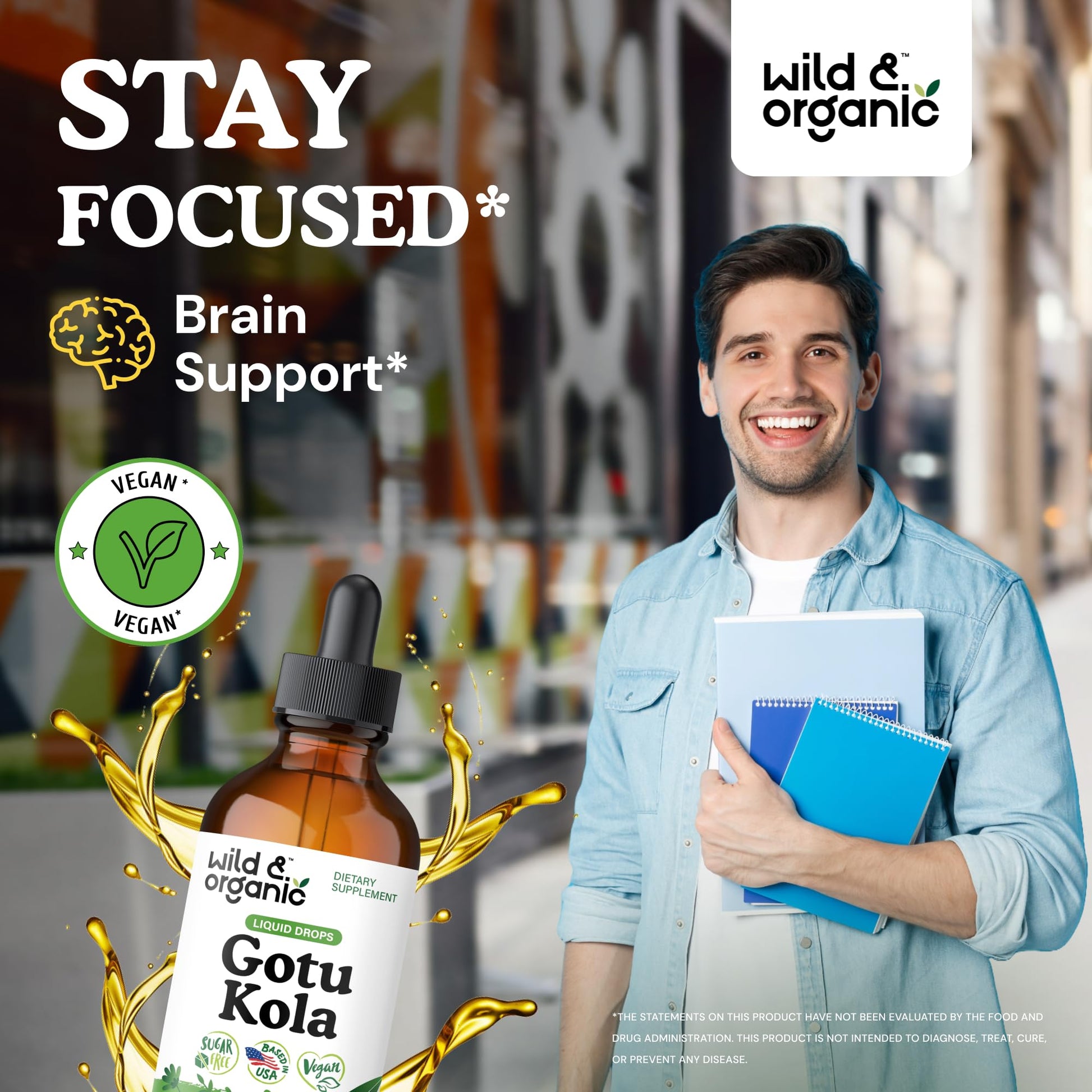 Wild & Organic Gotu Kola Extract Drops - Brain Support with Centella Asiatica Extract - Liquid Gotu Kola Supplement for Focus - Vegan, Sugar & Alcohol-Free Herb Tincture - 4 fl oz - PrimeBioHealth - canada supplements