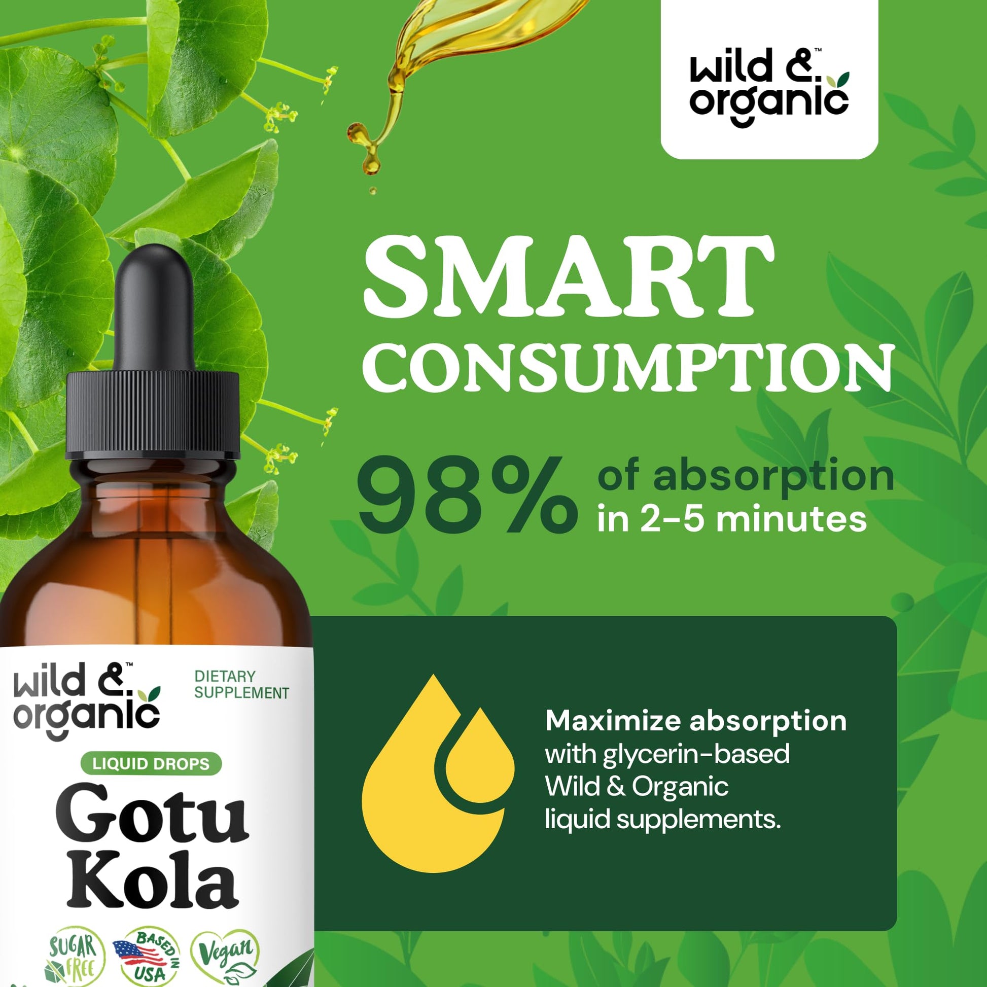 Wild & Organic Gotu Kola Extract Drops - Brain Support with Centella Asiatica Extract - Liquid Gotu Kola Supplement for Focus - Vegan, Sugar & Alcohol-Free Herb Tincture - 4 fl oz - PrimeBioHealth - canada supplements