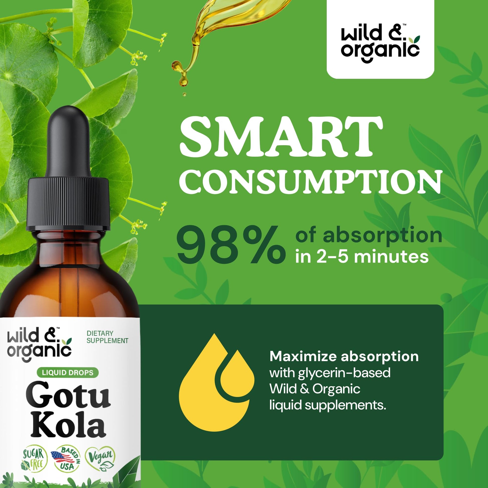 Wild & Organic Gotu Kola Extract Drops - Brain Support with Centella Asiatica Extract - Liquid Gotu Kola Supplement for Focus - Vegan, Sugar & Alcohol-Free Herb Tincture - 4 fl oz - PrimeBioHealth - canada supplements