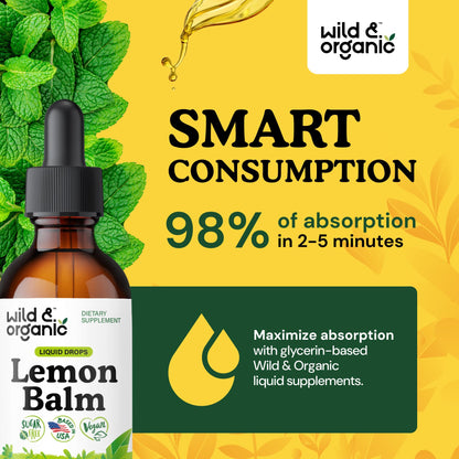 Wild & Organic Lemon Balm Tincture - Good Mood Support - Melissa Lemon Balm Extract Drops - Add to Tea for Relaxation - Vegan, Sugar & Alcohol-Free Leaf Supplement - 4 fl oz - PrimeBioHealth - canada supplements
