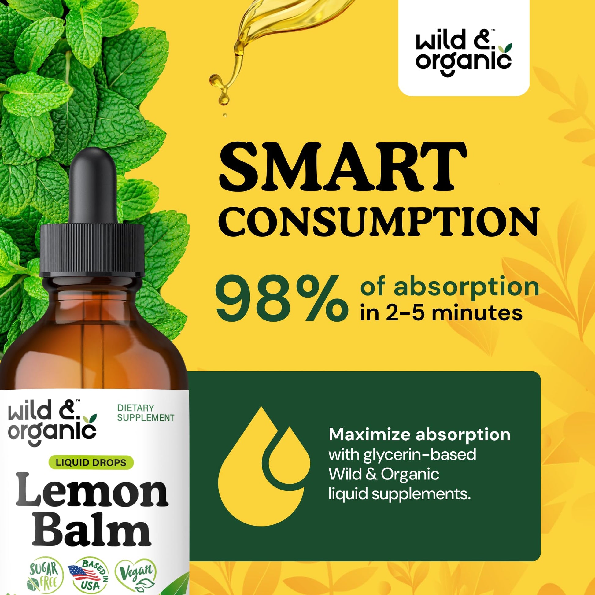 Wild & Organic Lemon Balm Tincture - Good Mood Support - Melissa Lemon Balm Extract Drops - Add to Tea for Relaxation - Vegan, Sugar & Alcohol-Free Leaf Supplement - 4 fl oz - PrimeBioHealth - canada supplements