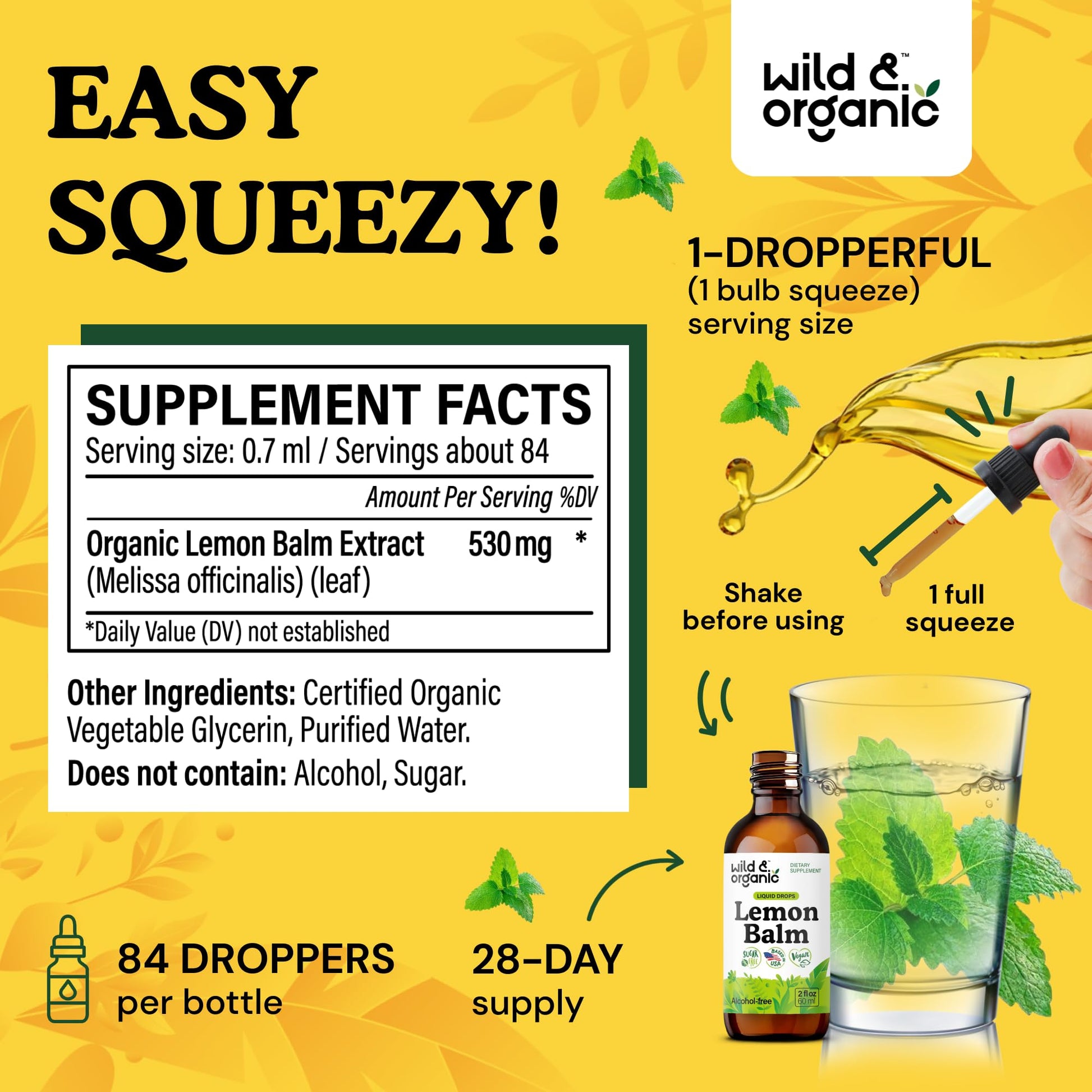 Wild & Organic Lemon Balm Tincture - Good Mood Support - Melissa Lemon Balm Extract Drops - Add to Tea for Relaxation - Vegan, Sugar & Alcohol-Free Leaf Supplement - 4 fl oz - PrimeBioHealth - canada supplements