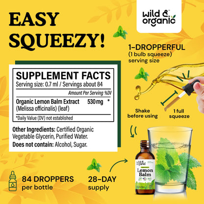 Wild & Organic Lemon Balm Tincture - Good Mood Support - Melissa Lemon Balm Extract Drops - Add to Tea for Relaxation - Vegan, Sugar & Alcohol-Free Leaf Supplement - 4 fl oz - PrimeBioHealth - canada supplements