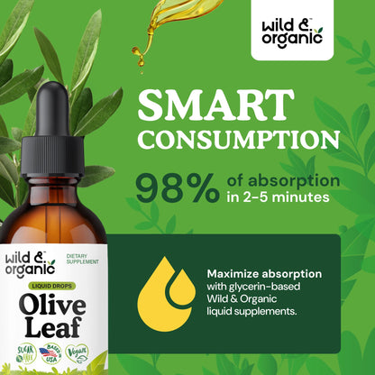 Wild & Organic Olive Leaf Extract Liquid Drops - Immune & Antioxidant Support - Oleuropein Supplement - Add to Tea Olive Leaf Tincture - Vegan, Sugar & Alcohol Free - 4 fl oz - PrimeBioHealth - canada supplements