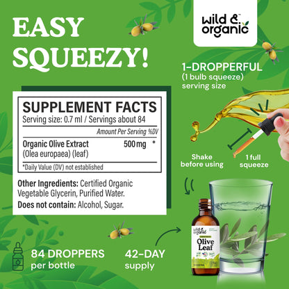 Wild & Organic Olive Leaf Extract Liquid Drops - Immune & Antioxidant Support - Oleuropein Supplement - Add to Tea Olive Leaf Tincture - Vegan, Sugar & Alcohol Free - 4 fl oz - PrimeBioHealth - canada supplements
