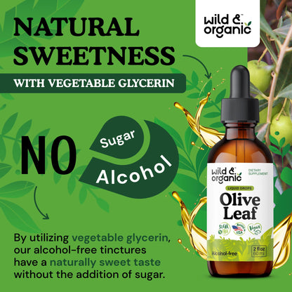Wild & Organic Olive Leaf Extract Liquid Drops - Immune & Antioxidant Support - Oleuropein Supplement - Add to Tea Olive Leaf Tincture - Vegan, Sugar & Alcohol Free - 4 fl oz - PrimeBioHealth - canada supplements