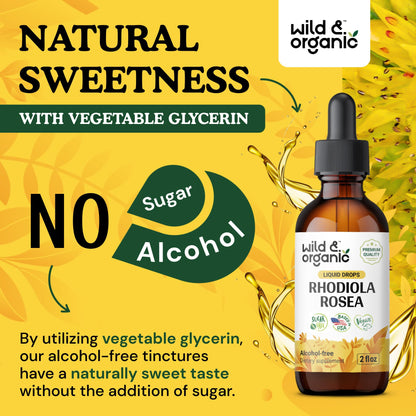 Wild & Organic Rhodiola Rosea Tincture - Rhodiola Rosea Supplement for Mood Support - Relaxing Root Extract Liquid Drops - Vegan, Sugar & Alcohol-Free - 4 fl oz - PrimeBioHealth - canada supplements
