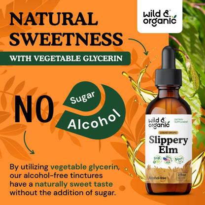 Wild & Organic Slippery Elm Liquid Drops - Lung, Digestive & Women's Support - Slippery Elm Bark Supplement - Add to Tea Tincture - Ulmus Rubra Herb - Vegan, Sugar & Alcohol-Free - 4 fl oz - PrimeBioHealth - canada supplements