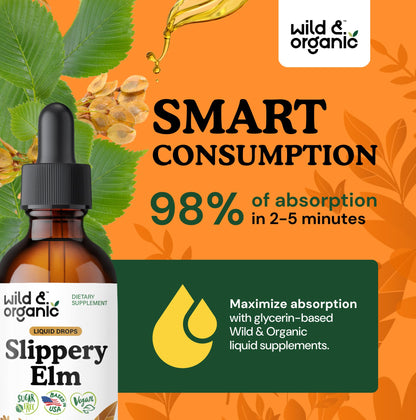 Wild & Organic Slippery Elm Liquid Drops - Lung, Digestive & Women's Support - Slippery Elm Bark Supplement - Add to Tea Tincture - Ulmus Rubra Herb - Vegan, Sugar & Alcohol-Free - 4 fl oz - PrimeBioHealth - canada supplements