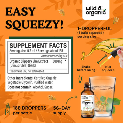 Wild & Organic Slippery Elm Liquid Drops - Lung, Digestive & Women's Support - Slippery Elm Bark Supplement - Add to Tea Tincture - Ulmus Rubra Herb - Vegan, Sugar & Alcohol-Free - 4 fl oz - PrimeBioHealth - canada supplements