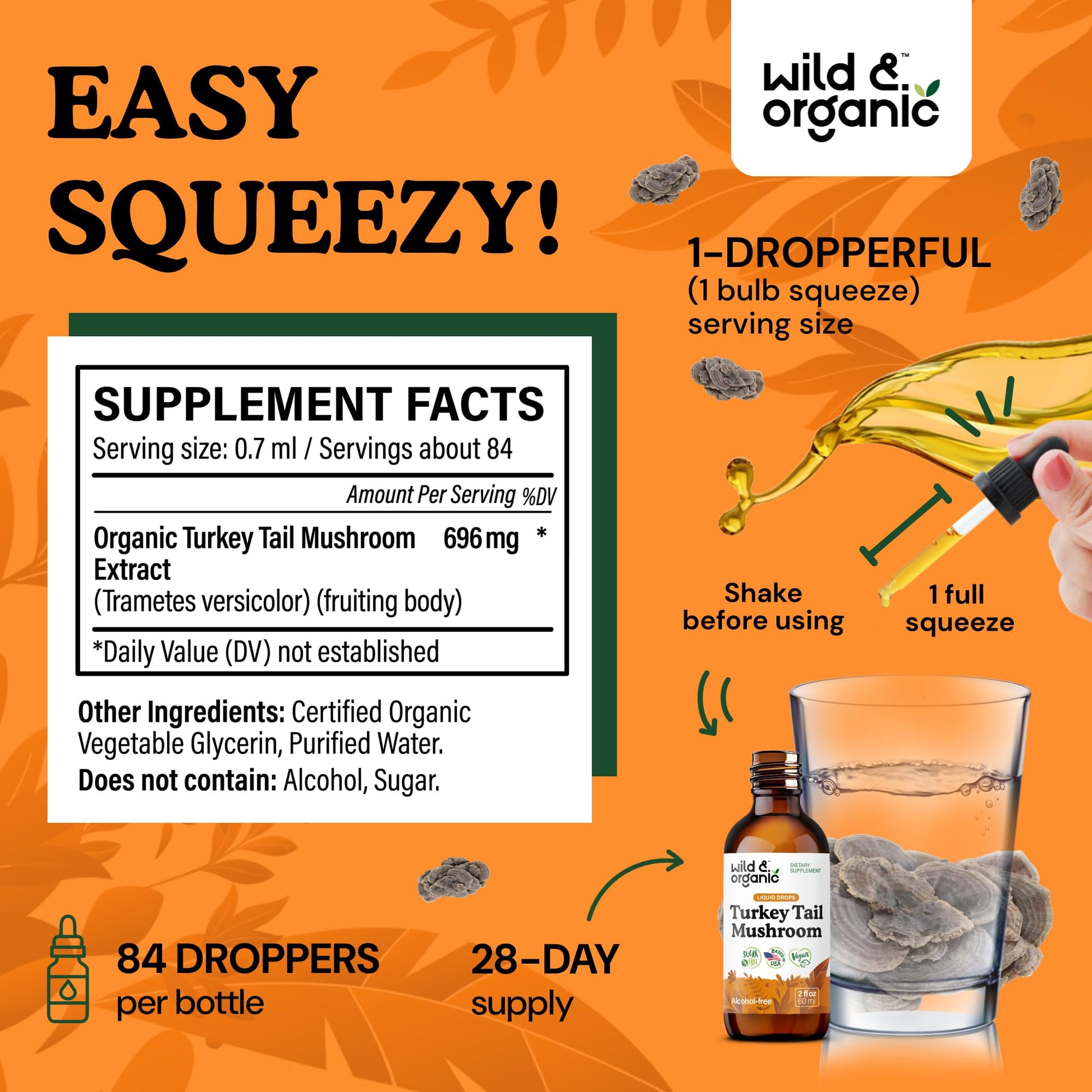 Wild & Organic Turkey Tail Mushroom Tincture - Immune Support Drops with Turkey Tail Extract - Liquid Mushroom Supplement for Gut Support - Vegan, Sugar & Alcohol-Free - 4 fl oz - PrimeBioHealth - canada supplements