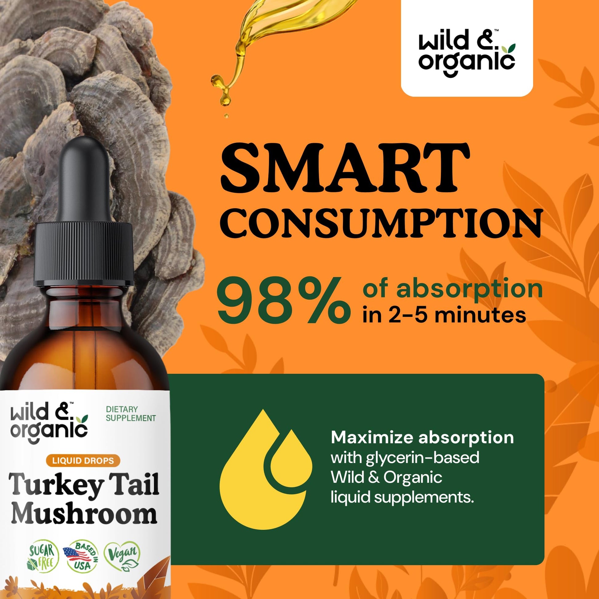 Wild & Organic Turkey Tail Mushroom Tincture - Immune Support Drops with Turkey Tail Extract - Liquid Mushroom Supplement for Gut Support - Vegan, Sugar & Alcohol-Free - 4 fl oz - PrimeBioHealth - canada supplements