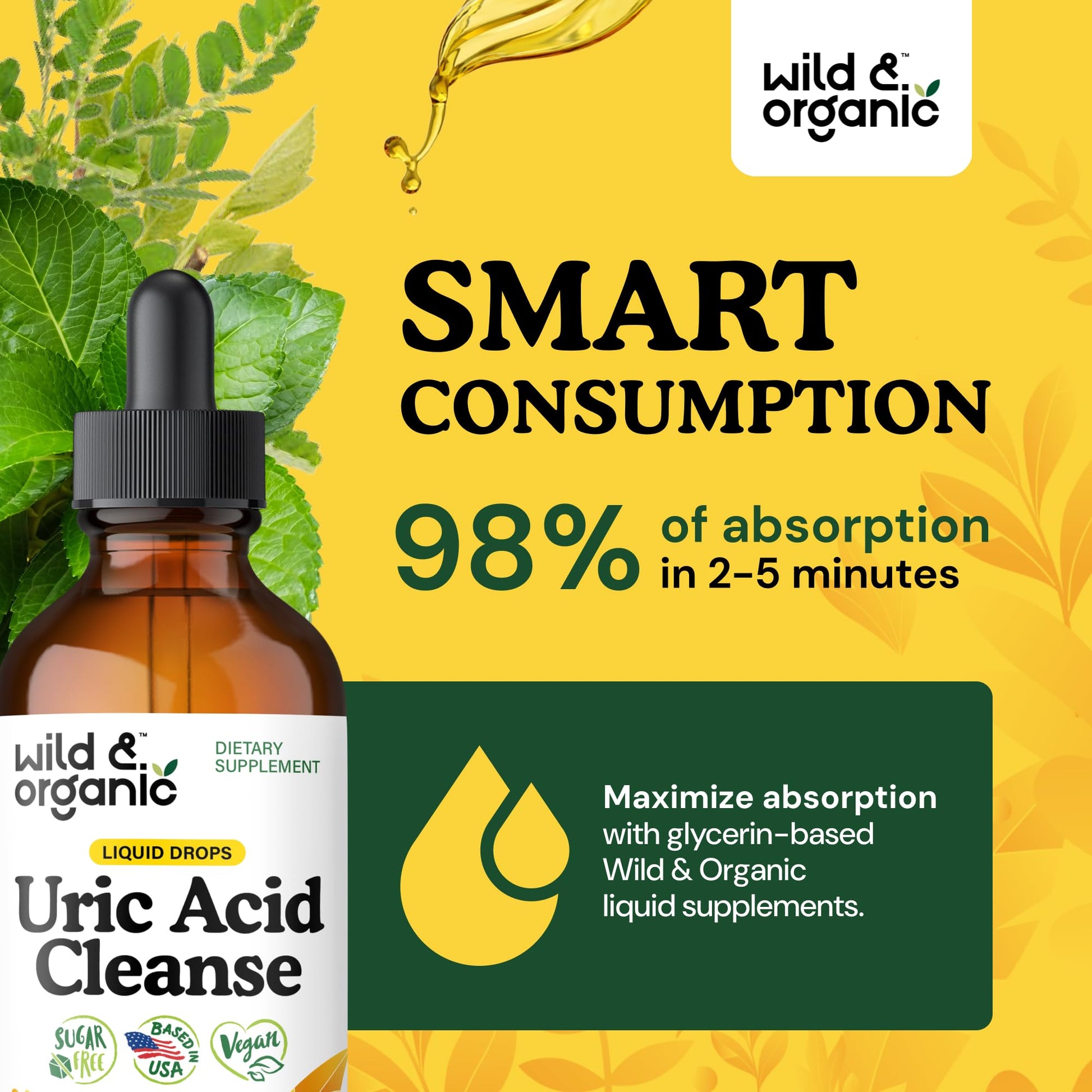 Wild & Organic Uric Acid Cleanse Liquid Drops - Tart Cherry, Turmeric, Celery, Chanca Piedra, Dandelion Root Extract Complex - Uric Acid Supplement - Vegan, Sugar & Alcohol-Free Tincture - 4 fl oz - PrimeBioHealth - canada supplements