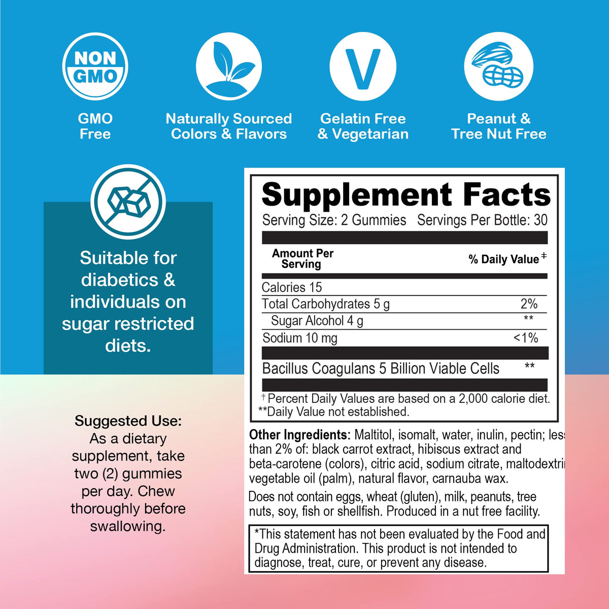 YUM-V'S Sugar Free Probiotic Gummies - Probiotics for Men & Women to Help Support Digestive Function – Adults & Kids Probiotic with 5 Billion CFU Bacillus Coagulans – Vegan & Gluten-Free (60 Count) - PrimeBioHealth - canada supplements