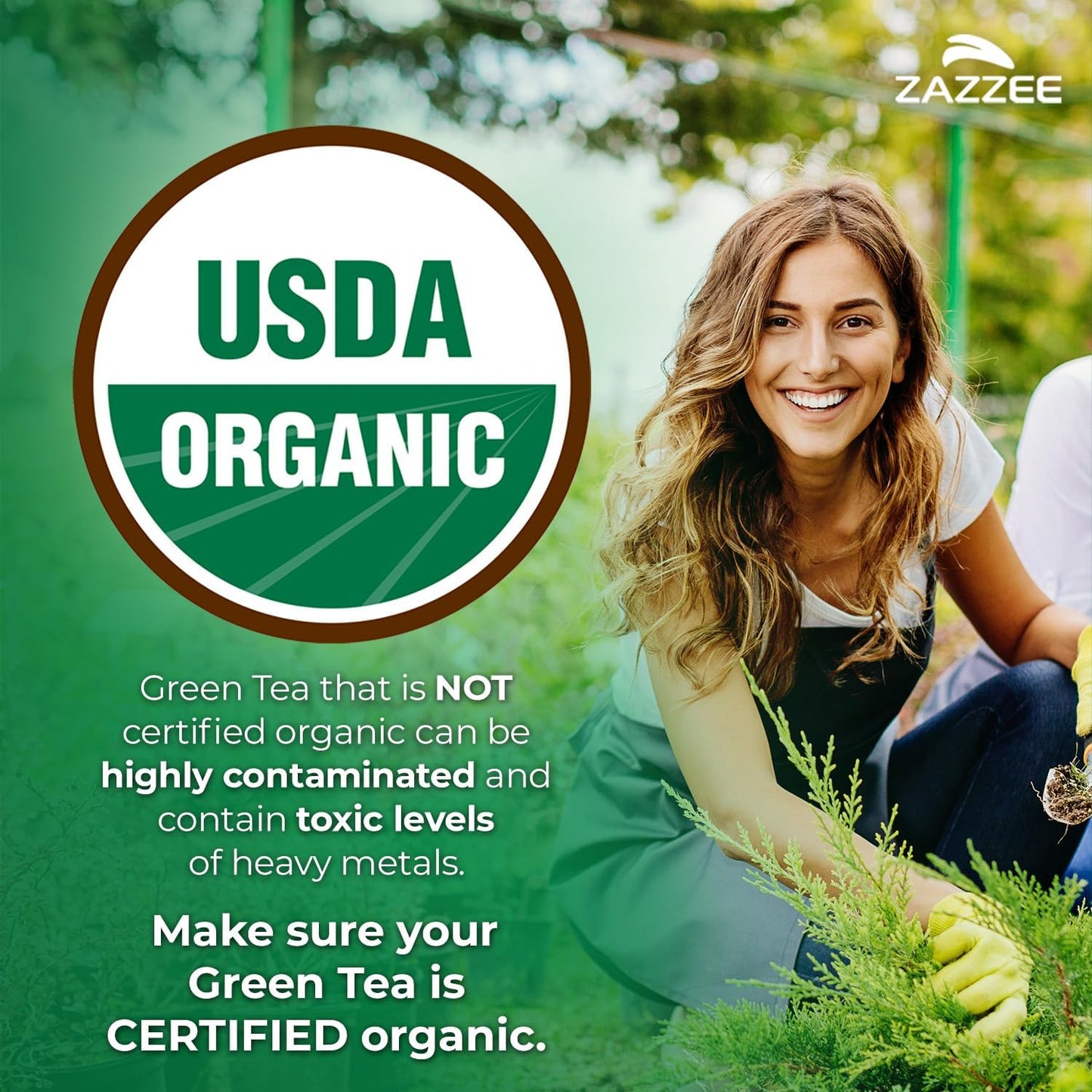 Zazzee USDA Organic Green Tea 20:1 Extract, 50% EGCG, 98% Polyphenols, 80% Catechins, 120 Vegan Capsules, 4 Month Supply, Antioxidant, Metabolism & Energy Support, Non-GMO, All-Natural, Made in USA - PrimeBioHealth - canada supplements