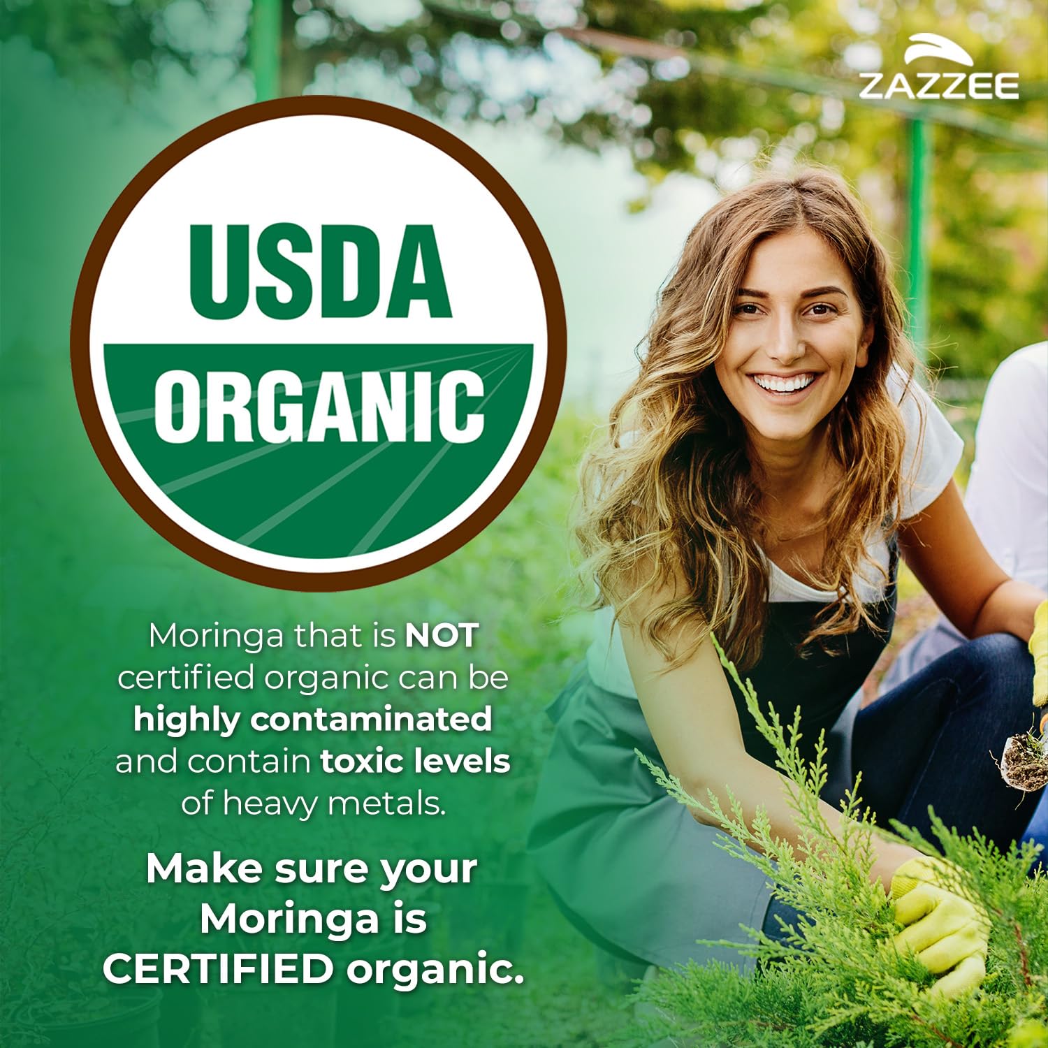 Zazzee USDA Organic Moringa Leaf 20:1 Extract, 180 Vegan Capsules, 3 Month Supply, Certified Kosher, Moringa Oleifera, Antioxidant, Immune & Cellular Support, Superfood Supplement, Made in the USA - PrimeBioHealth - canada supplements