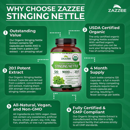 Zazzee USDA Organic Stinging Nettle Leaf 20:1 Extract, 120 Vegan Capsules, 4 Month Supply, Urtica Dioica, Respiratory, Immune & Seasonal Wellness Support, Organic Herbal Supplement, Made in the USA - PrimeBioHealth - canada supplements