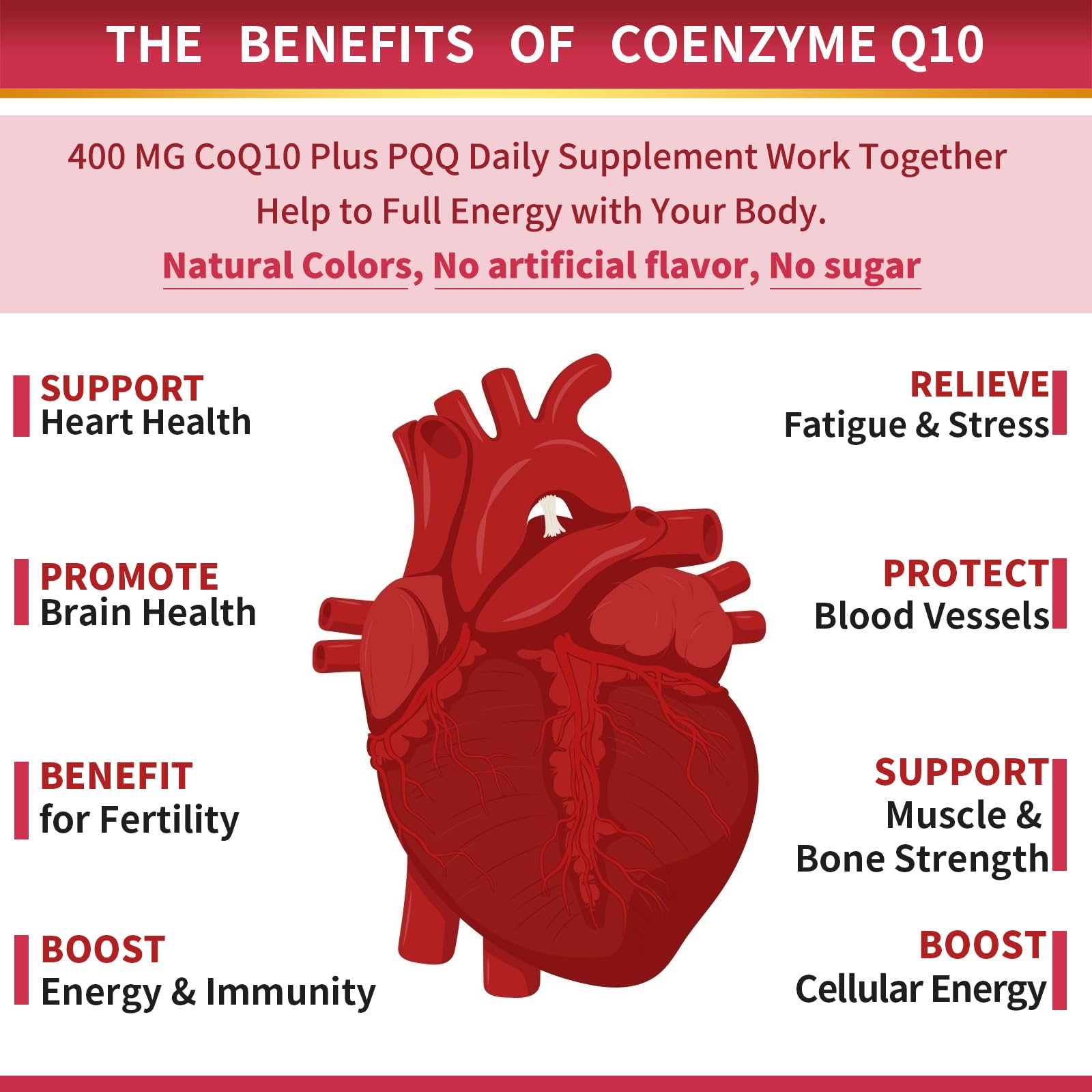 ZEBORA CoQ10-400mg-Softgels with PQQ, BioPerine & Omega-3, Coenzyme Q10(Ubiquinone) Supplement for High-Absorption, Powerful-Antioxidant - PrimeBioHealth - canada supplements