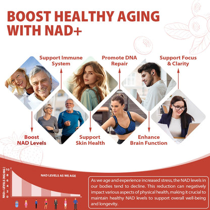 ZOROAHER 1000mg High-Potency NAD+ Liquid Supplement, Quercetin Phytosome & Resveratrol with PQQ, Boosts Cellular Energy - PrimeBioHealth - canada supplements